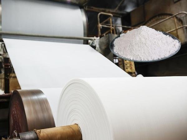 Paper Industry